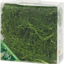 New Home Accents Decoratief Mos Seizoensdecoratie